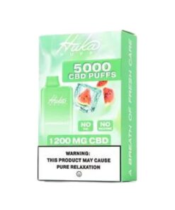 Huka Puff | Watermelon Ice CBD Vape - 5000 Puffs
