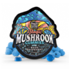 TRE House | Blue Raspberry Magic Mushroom Gummies | 15ct
