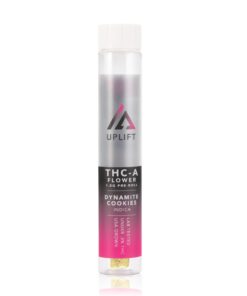 Uplift | THCA Pre Roll - Dynamite Cookies | 1g - Indica THCA Bud