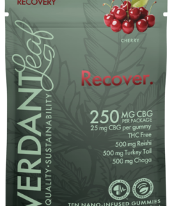 Verdant Leaf | Mushroom Gummies - Natural Recovery | Mushroom Nootropics with 25mg of CBG - 10ct
